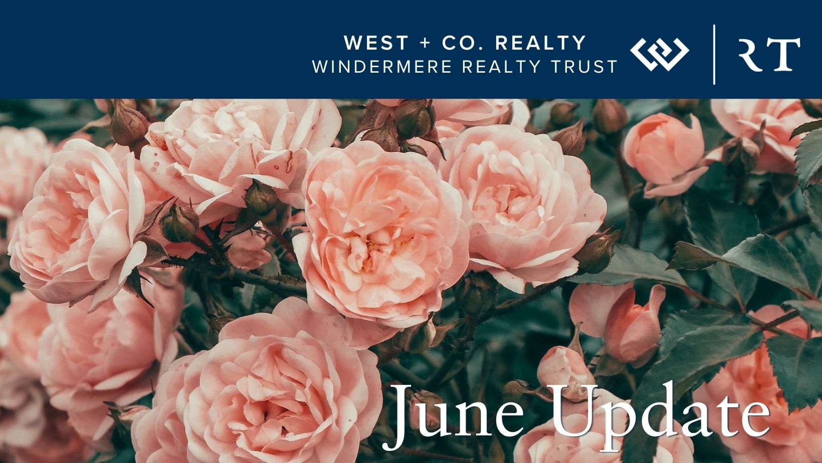 Roses - June 2026 Update