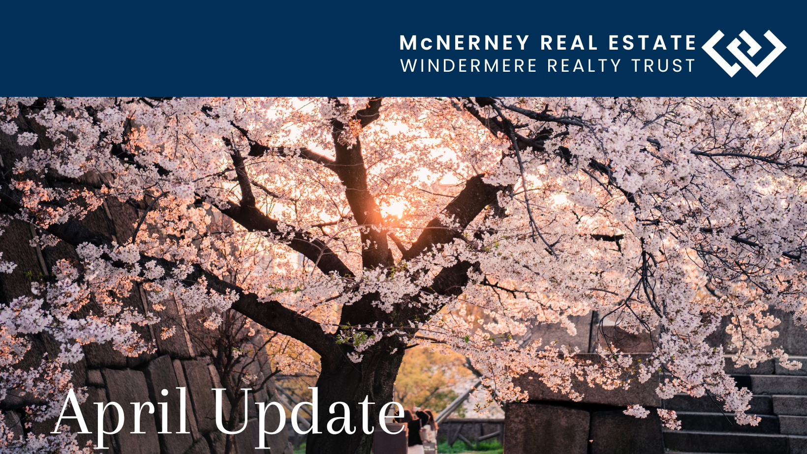 Tulips - April Update