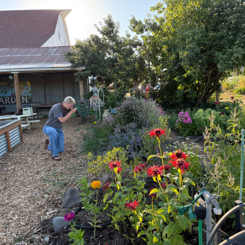 Photography lessons at Luscher Farm