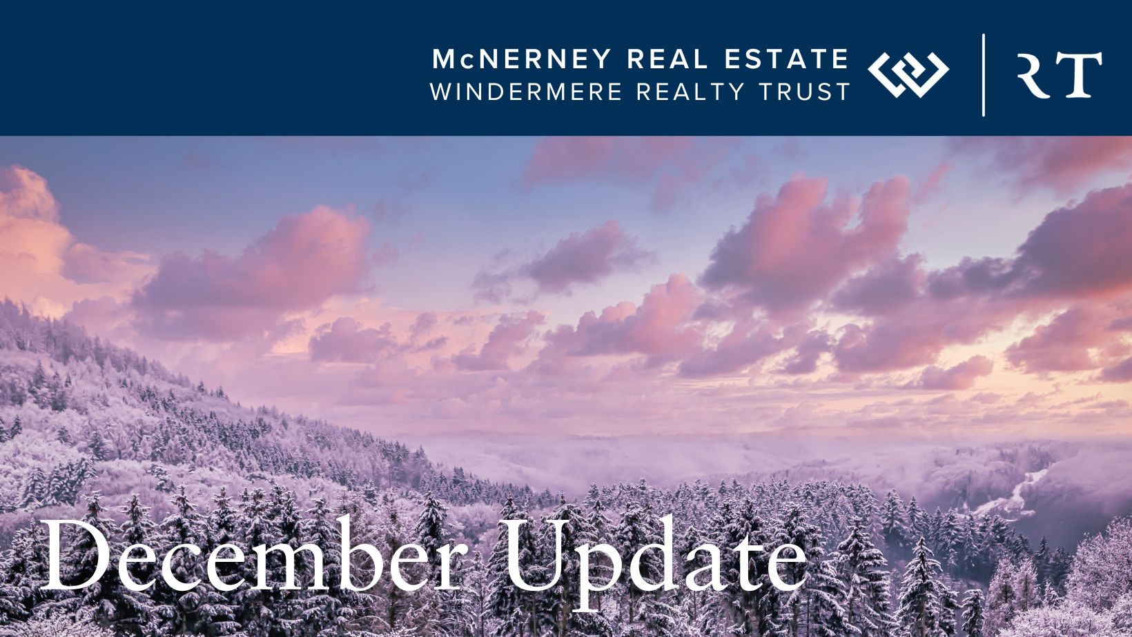 Snowy Trees - December Update