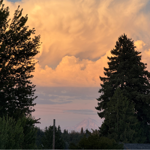 Sunset view from the living room