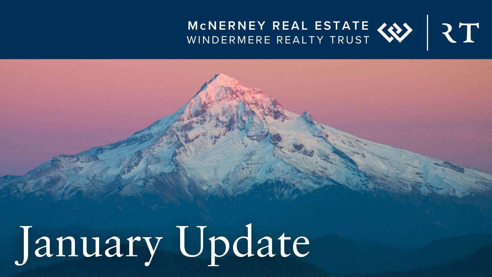 Snowy Trees - December Update