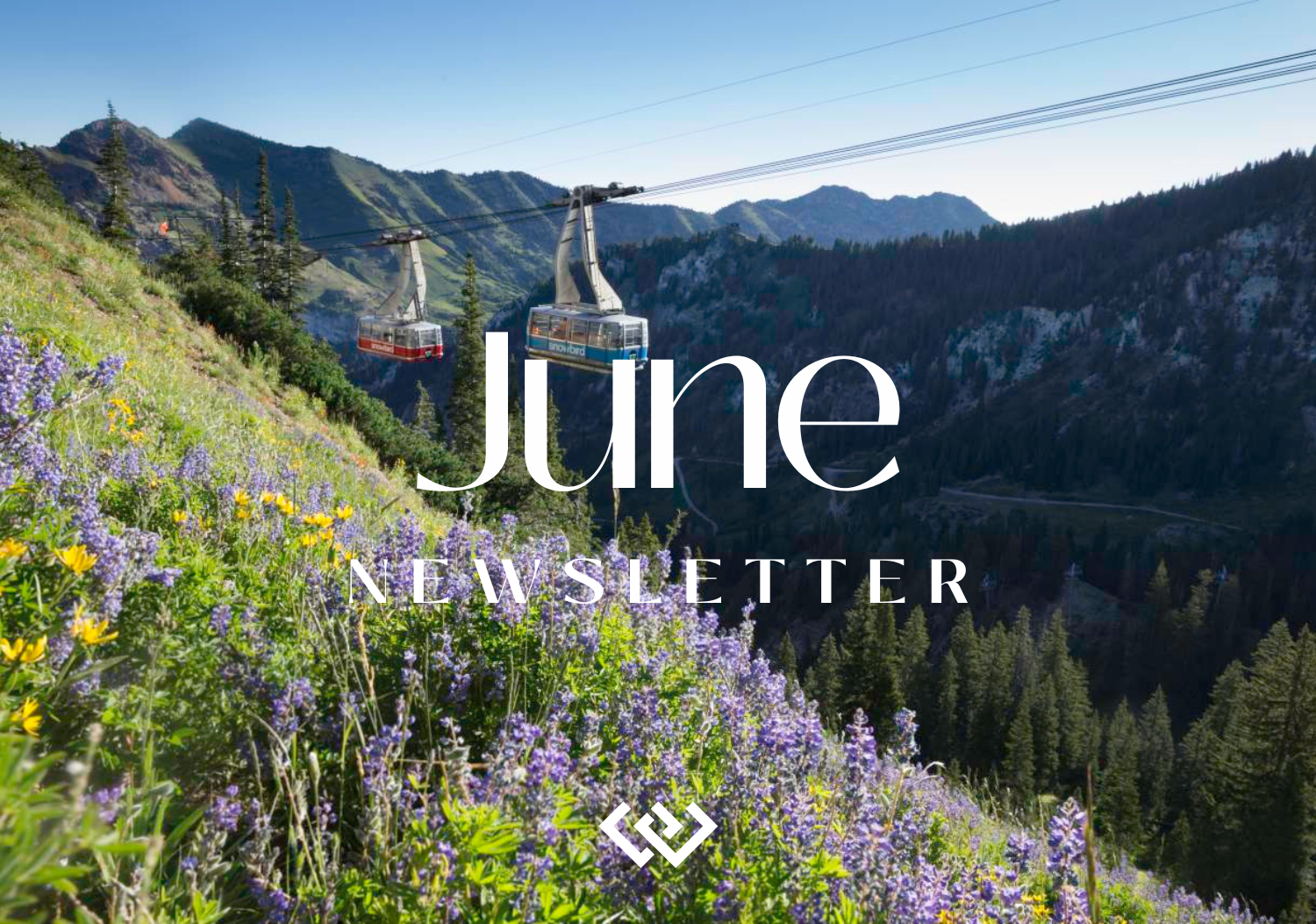 Windermere Utah summer newsletter banner