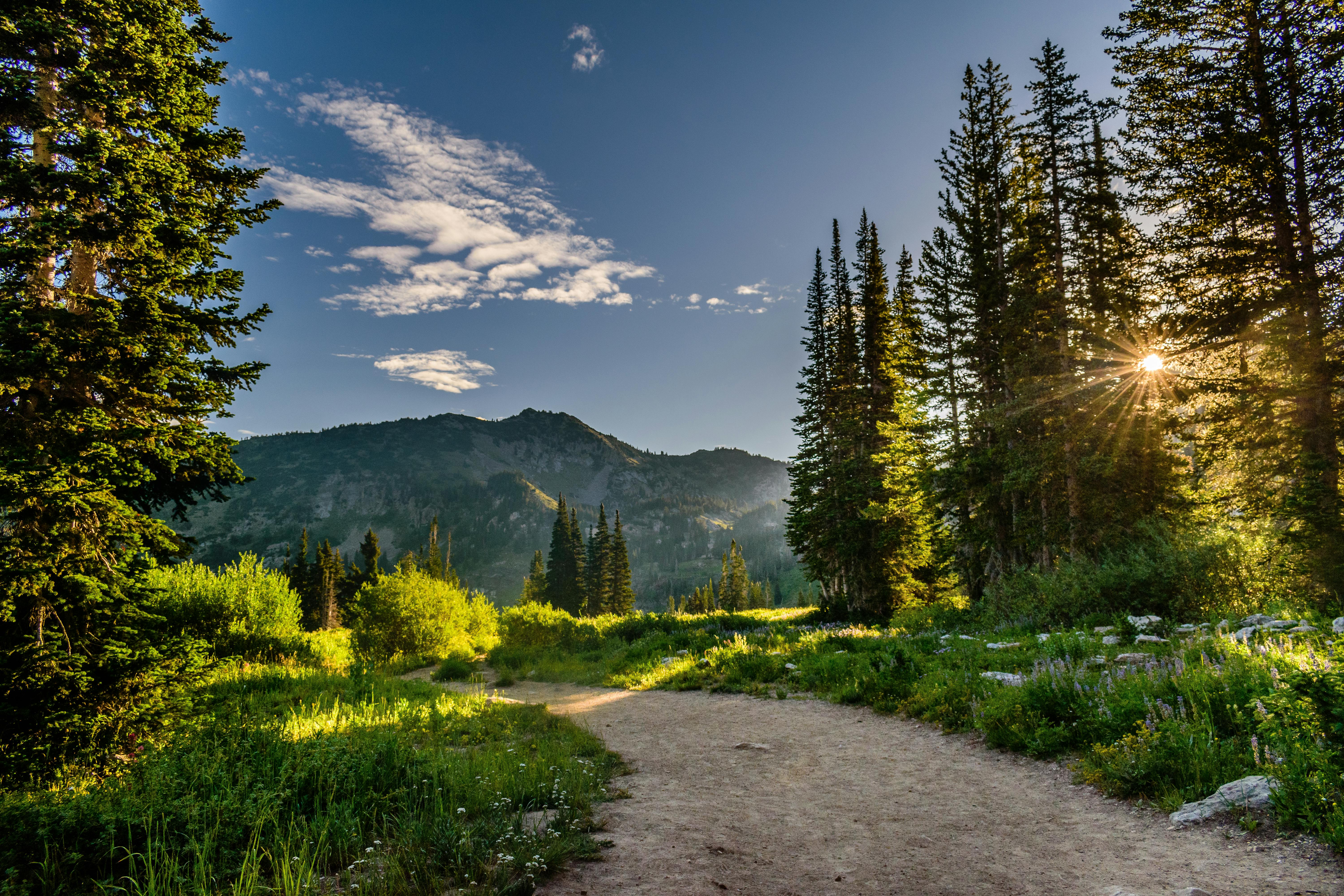 Summer in Utah